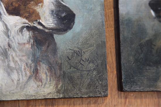 John Emms (1843-1912) Head studies of terriers 9 x 7in., unframed